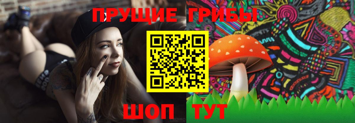 Галлюциногенные грибы мухоморы  Вход с VPN  Новотроицк 