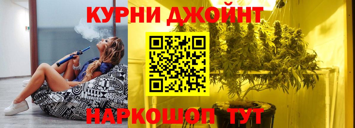 Бошки Шишки планчик Новотроицк
